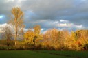 landscape-231897_1920.jpg