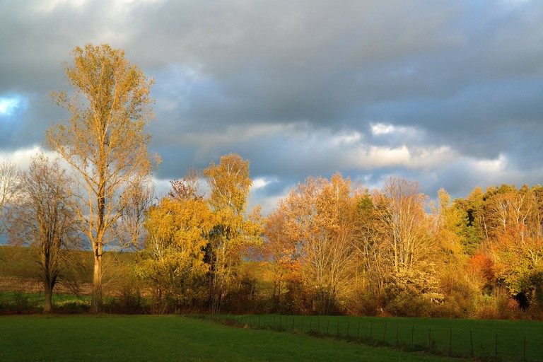 landscape-231897_1920.jpg