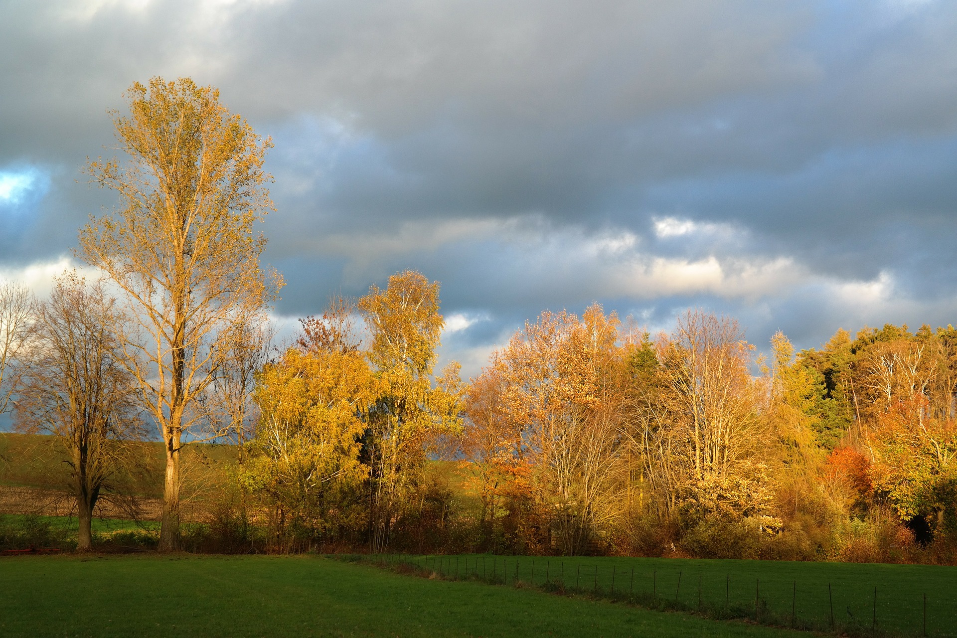 landscape-231897_1920.jpg