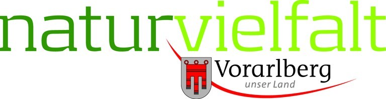 Logo auf Weiß  © Amt der Vorarlberger Landesregierung .jpeg