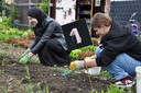 MACHWAS-Tage_Aufblüherei_Begegnungsraum Garten.jpg