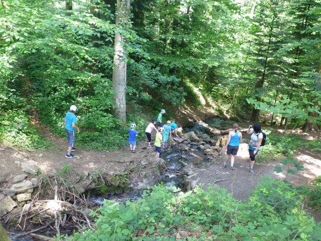 P1120456.JPG