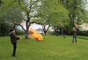Palmen Abbrennen 03.JPG