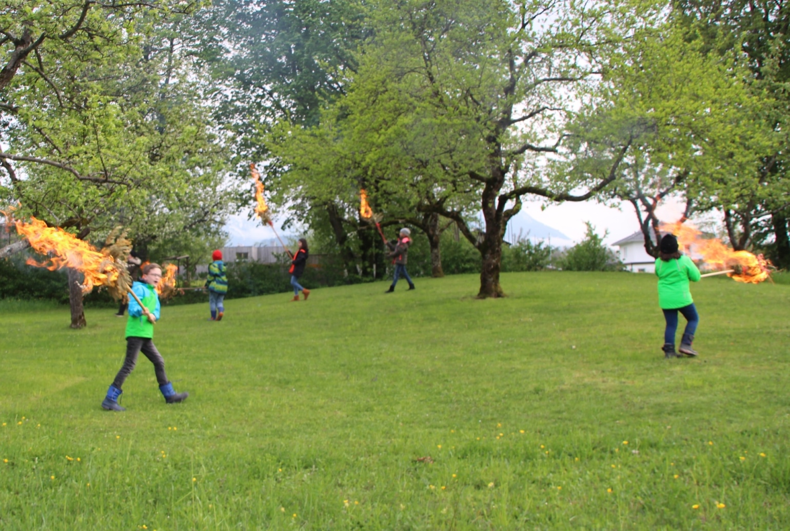 Palmen Abbrennen 05.JPG