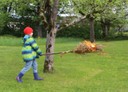 Palmen Abbrennen 06.JPG