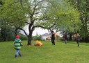 Palmen Abbrennen 07.JPG