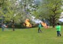 Palmen Abbrennen 08.JPG