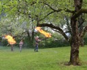 Palmen Abbrennen 09.JPG