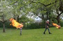 Palmen Abbrennen 10.JPG