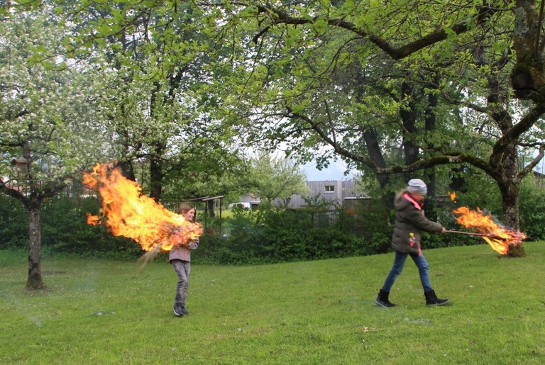 Palmen Abbrennen 10.JPG