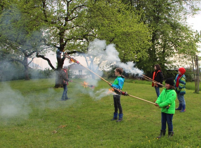 Palmen Abbrennen 14.JPG