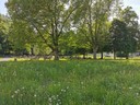 Spielplatz Reichenfeld, Feldkirch © Christoph Kirchengast.jpg