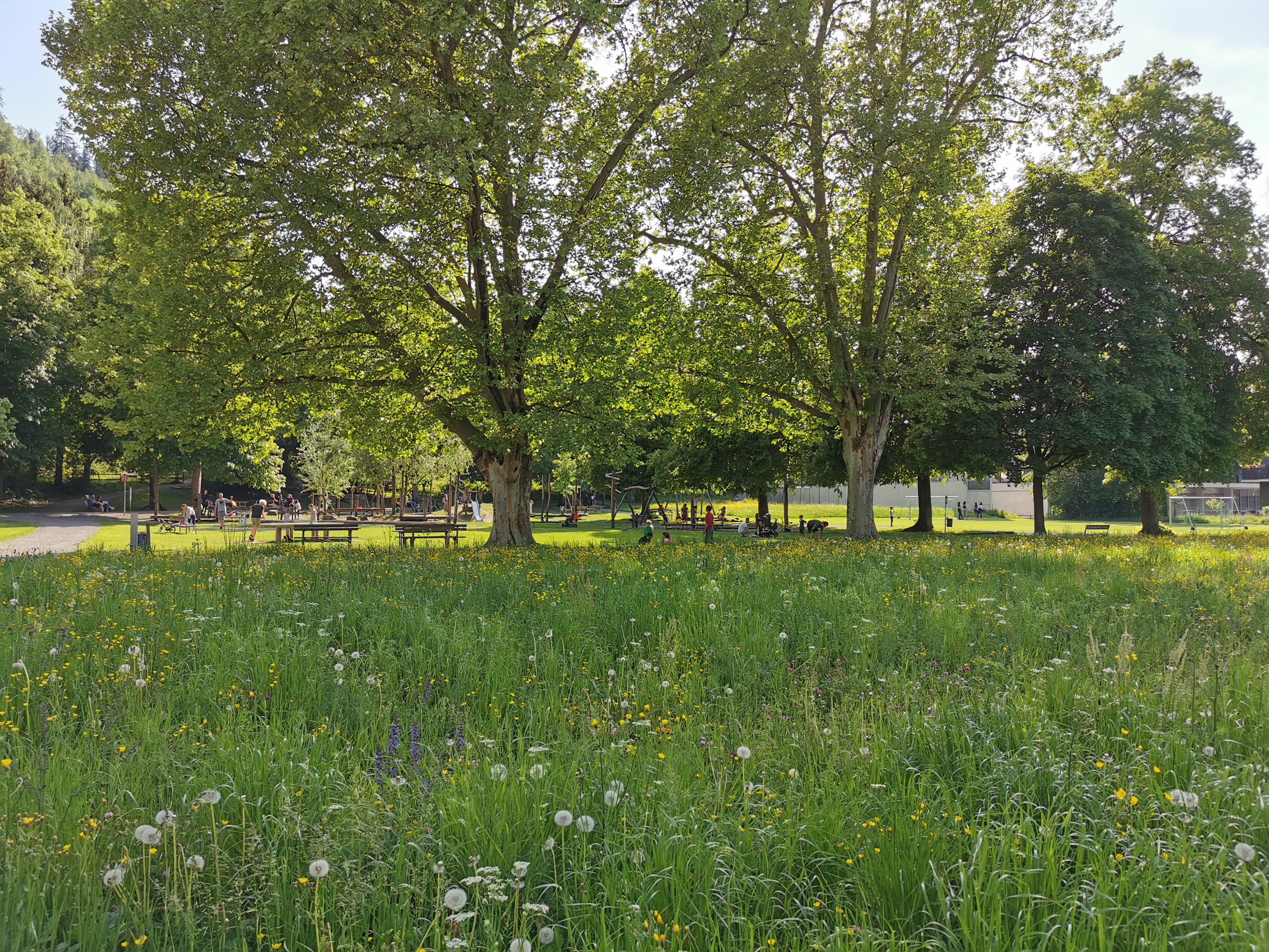 Spielplatz Reichenfeld, Feldkirch © Christoph Kirchengast.jpg