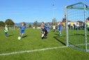 U8_Turnier Okt 2019_ 01.jpg