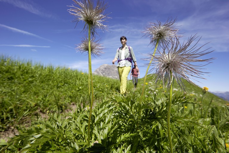 V-Card Wandern (c) Peter Mathis - Vorarlberg Tourismus2020.jpg