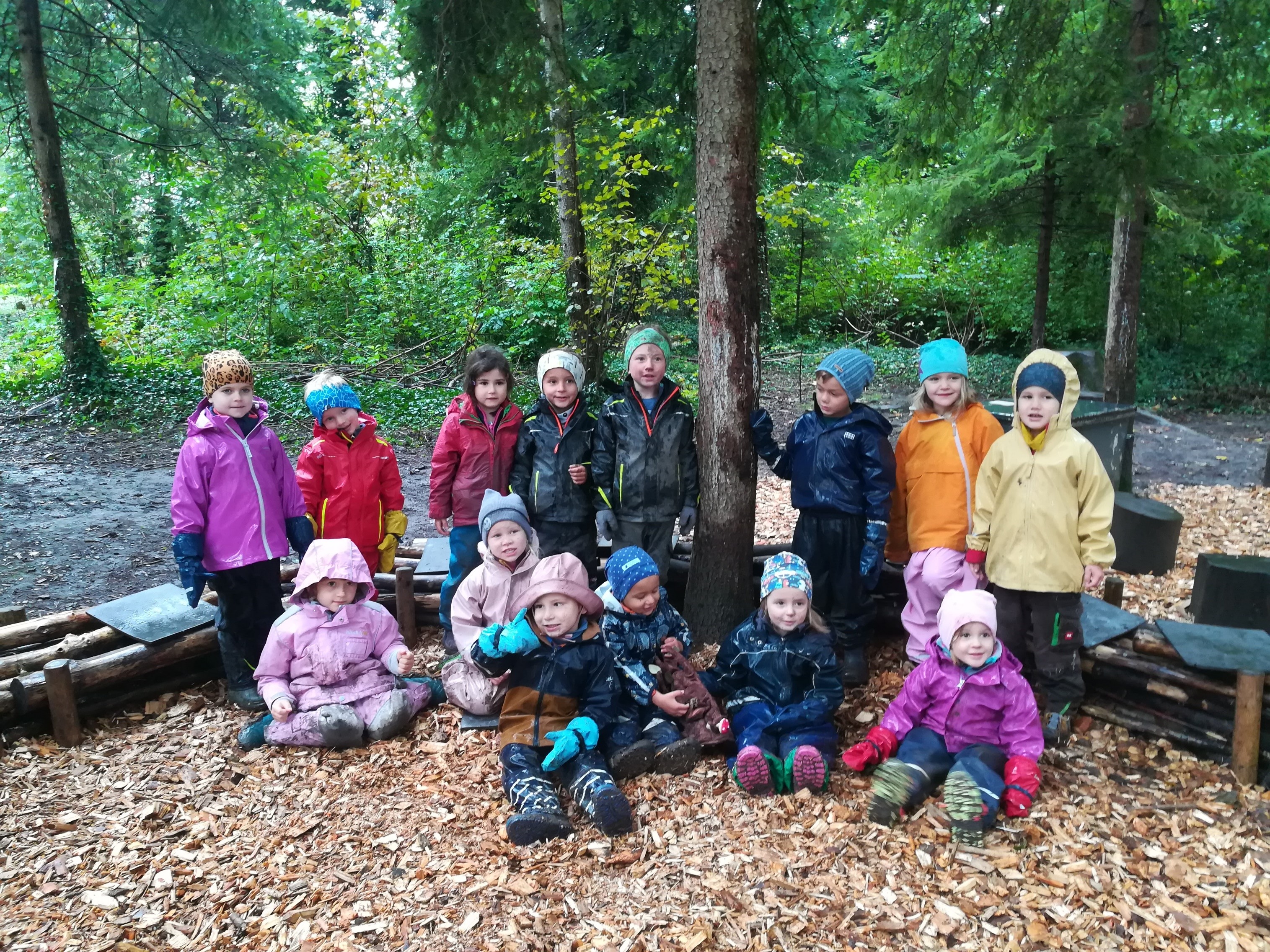 Wald Wurzel Kinder.jpg