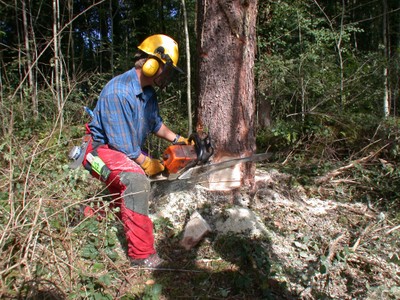 Sicherheitstipp Sicheres Vorarlberg