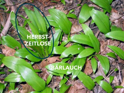 Sicherheitstipp Sicheres Vorarlberg