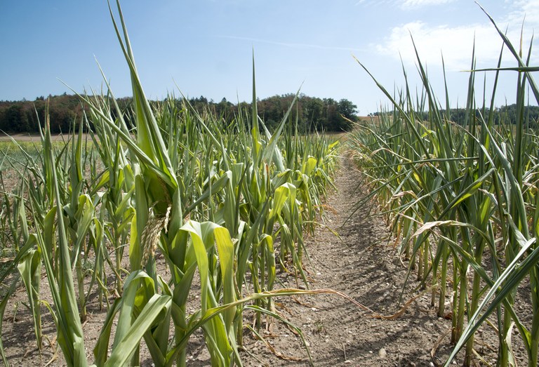 Agroscope_GabrielaBrändle_.jpg