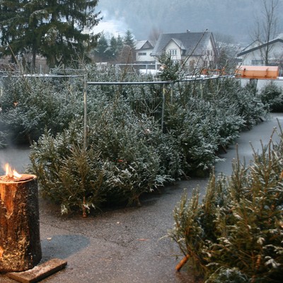 Christbaumverkauf