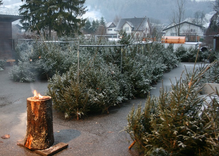 Christbaumverkauf.JPG