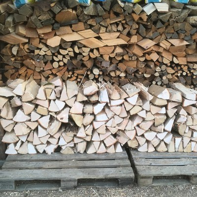 Holzversteigerung der Agrargemeinschaft Sulz