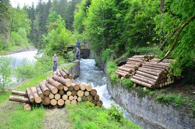 Ich und mein Holz Ich und mein Holz