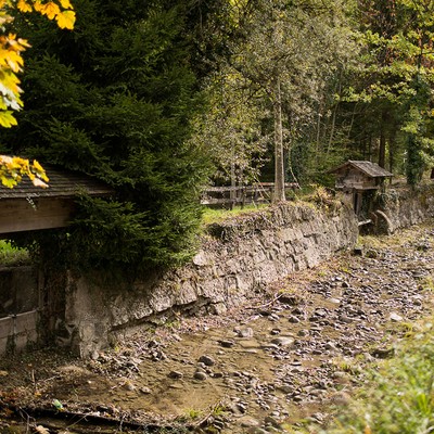 Revitalisierung der Triftanlage beginnt