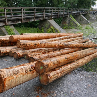 Triftanlage: Rechen wird rekonstruiert