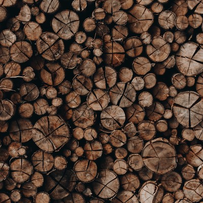 Holz schafft Arbeitsplätze