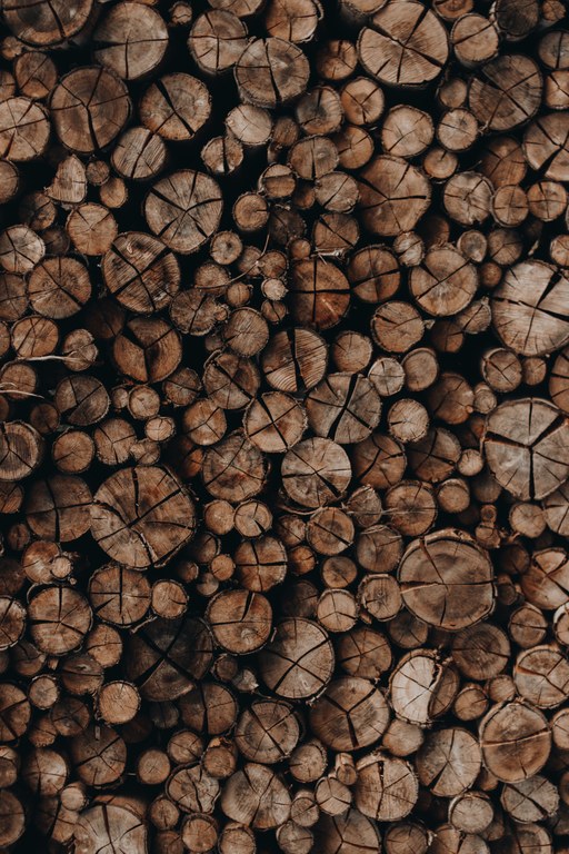 Holz © João Vítor Heinrichs Pexels