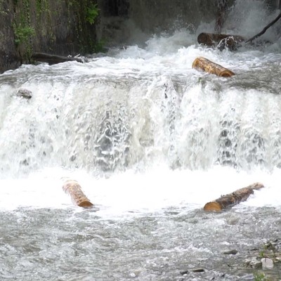 TRIFT – Holztransport auf dem Wasser