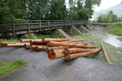 2017_07_25-Trift-Holzspende-und-Leader-Bild-100-1024x684.jpg