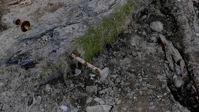 2019_04_17-Austausch-große-Balken-100-1024x576.jpg