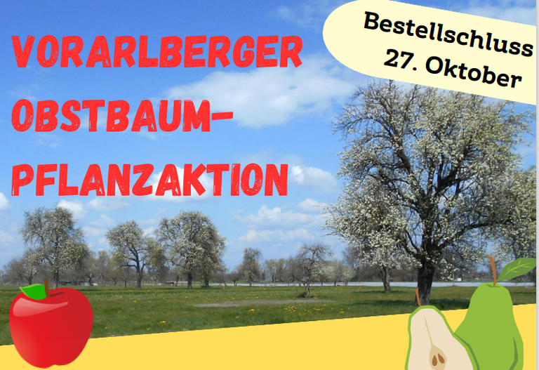 © Landwirtschaftskammer Vorarlberg