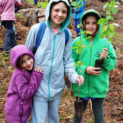 Wir pflanzen für unseren klimafitten Wald!