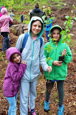 Wir pflanzen für unseren klimafitten Wald!