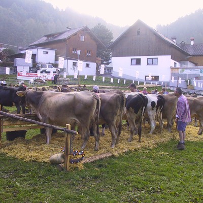 Landwirtschaftsförderungen