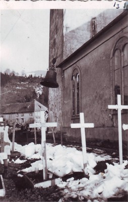 alte Linde0005.JPG