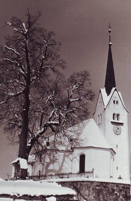 alte Linde10.jpg