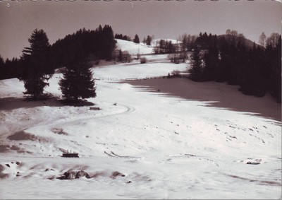 Fotos alt0004.JPG