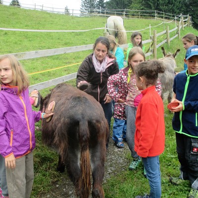 Ferienprogramm: Eseltrekking mit Leseralley