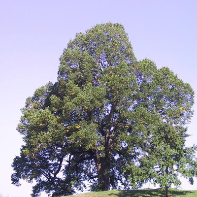 Denkmäler & Plätze