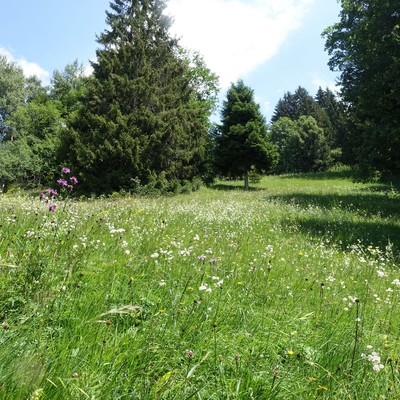 Natura 2000