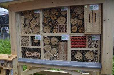 Alberschwender Gartenmarkt 11.Juni 2016 02.jpg
