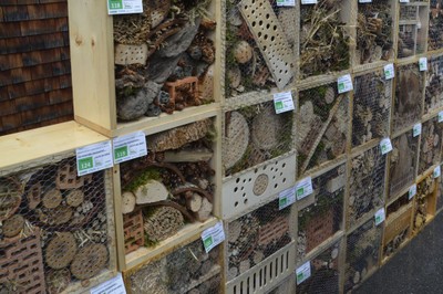 Alberschwender Gartenmarkt 11.Juni 2016 03.jpg
