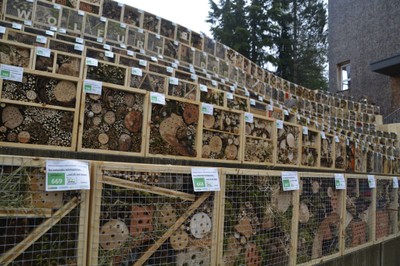 Alberschwender Gartenmarkt 11.Juni 2016 14.jpg