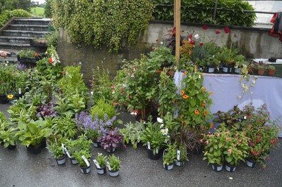Alberschwender Gartenmarkt 11.Juni 2016 18.jpg