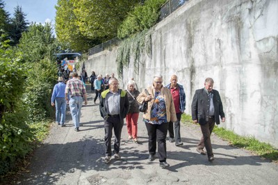 Ausflug Dahlienschau Lindau  27. September 2015 (2).jpg