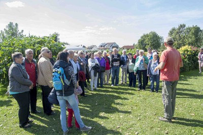 Ausflug Dahlienschau Lindau  27. September 2015 (6).jpg